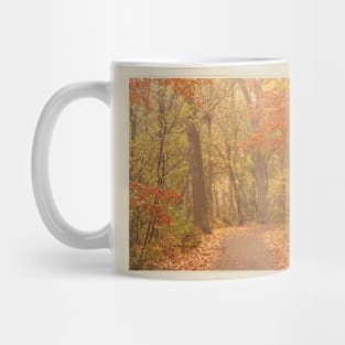 Quiet Autumn Path - Minnehaha Creek - Minneapolis, Minnesota Mug